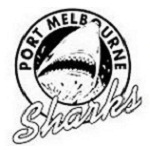 Home Team Flag