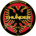 Home Team Flag
