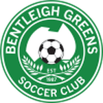 Home Team Flag