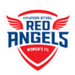 Home Team Flag
