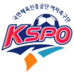 Home Team Flag