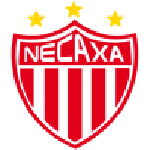 Home Team Flag
