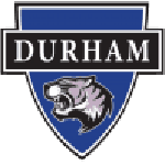 Home Team Flag