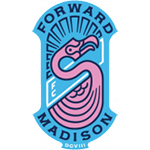 Home Team Flag