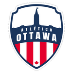 Home Team Flag