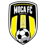 Home Team Flag
