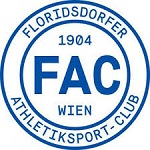 Home Team Flag