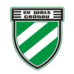 Home Team Flag