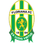 Home Team Flag