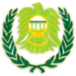 Away Team Flag