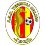 Home Team Flag