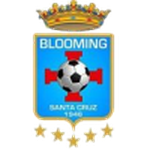 Home Team Flag