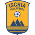 Home Team Flag