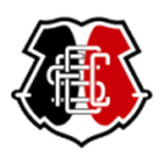 Home Team Flag