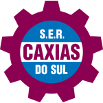 Away Team Flag