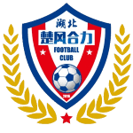 Home Team Flag