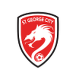 Home Team Flag