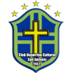 Home Team Flag