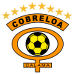 Home Team Flag