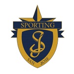 Away Team Flag