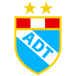 Home Team Flag