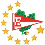 Home Team Flag