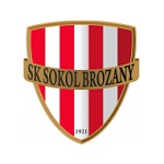Home Team Flag