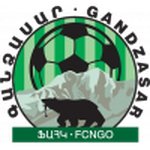 Home Team Flag