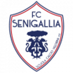 Home Team Flag