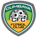 Home Team Flag