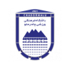 Away Team Flag