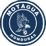 Home Team Flag