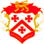 Home Team Flag