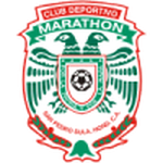 Home Team Flag