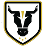 Home Team Flag