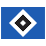 Home Team Flag