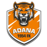 Home Team Flag