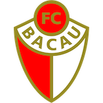 Home Team Flag