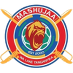 Home Team Flag