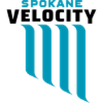 Home Team Flag