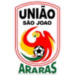 Home Team Flag