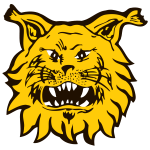 Home Team Flag