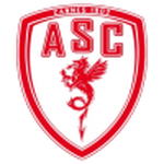 Home Team Flag