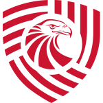 Home Team Flag