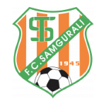Home Team Flag