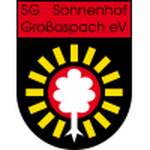 Home Team Flag