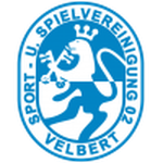 Home Team Flag