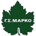 Home Team Flag