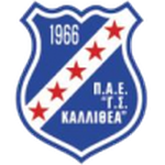 Home Team Flag