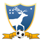 Home Team Flag